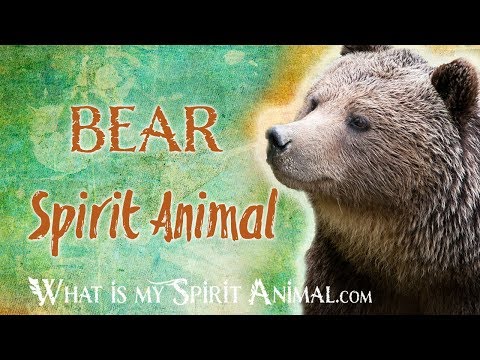 2024's 10 Bear Symbolism Facts & Meaning: A Totem, Spirit & Power Animal