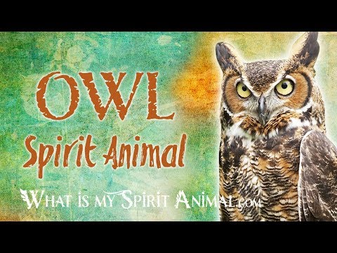 native american owl symbol meaning