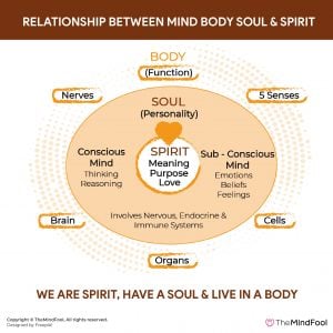 15 Tips to Balance Mind, Body and Soul | Mind Body Spirit