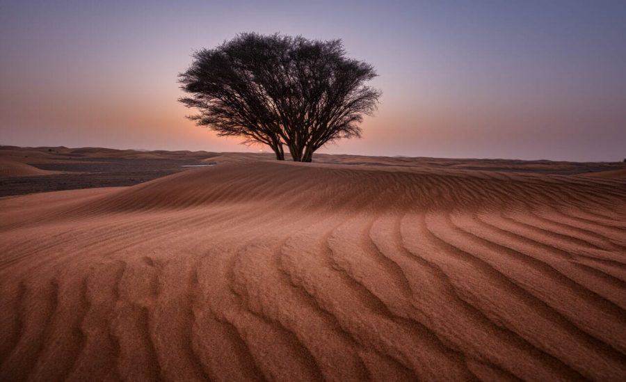 8-Ways-to-Improve-Resilience-for-A-Better-Future