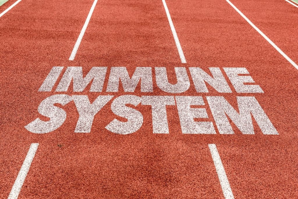 Improves Immune System