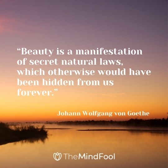 “Beauty is a manifestation of secret natural laws, which otherwise would have been hidden from us forever.” – Johann Wolfgang von Goethe