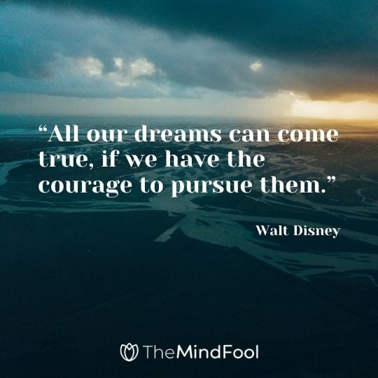 “All our dreams can come true, if we have the courage to pursue them.” – Walt Disney