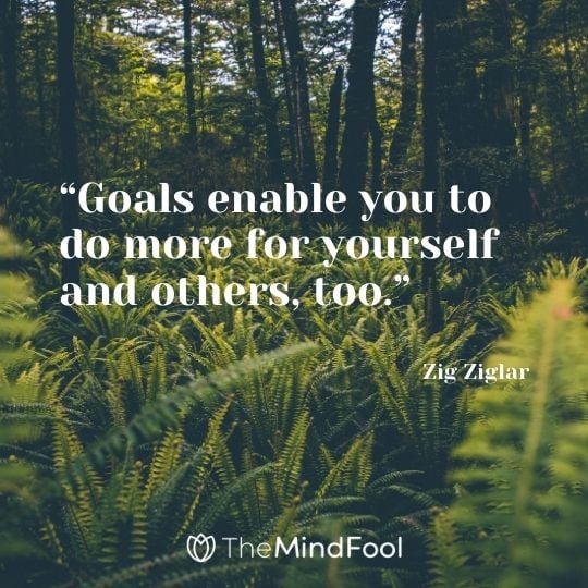 “Goals enable you to do more for yourself and others, too.” – Zig Ziglar