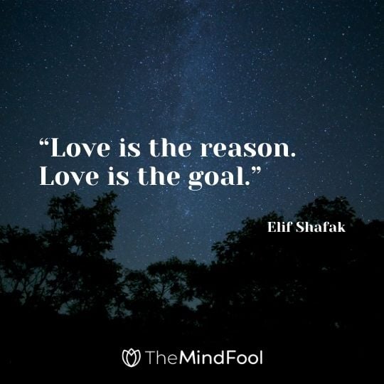 “Love is the reason. Love is the goal.” ― Elif Shafak