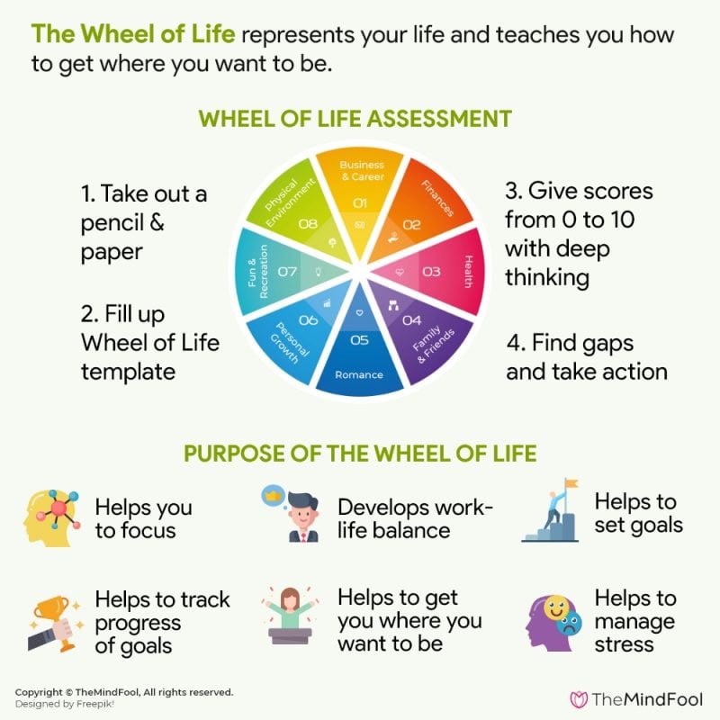 the wheel of life in coaching