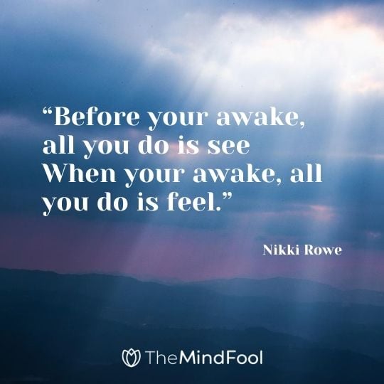 “Before your awake, all you do is see When your awake, all you do is feel.” ― Nikki Rowe