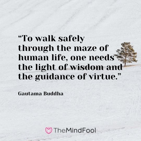 “To walk safely through the maze of human life, one needs the light of wisdom and the guidance of virtue.” – Gautama Buddha