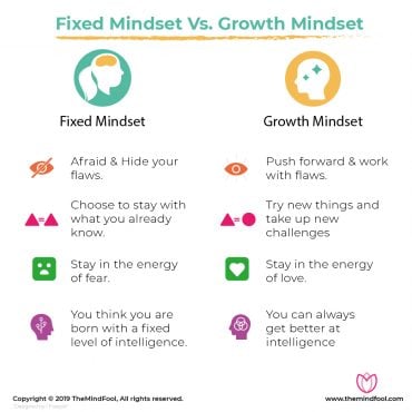 Fixed vs Growth Mindset | Growth Mindset vs Fixed Mindset | TheMindFool