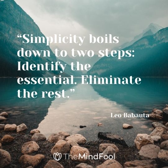 “Simplicity boils down to two steps: Identify the essential. Eliminate the rest.” ― Leo Babauta