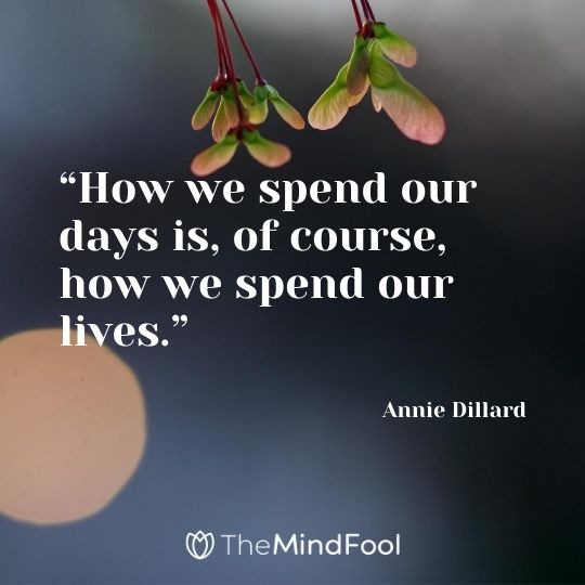 “How we spend our days is, of course, how we spend our lives.” - Annie Dillard