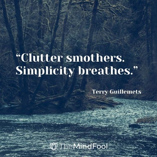 “Clutter smothers. Simplicity breathes.” - Terry Guillemets