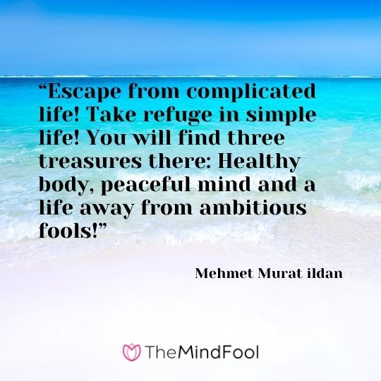 “Escape from complicated life! Take refuge in simple life! You will find three treasures there: Healthy body, peaceful mind and a life away from ambitious fools!” ― Mehmet Murat ildan