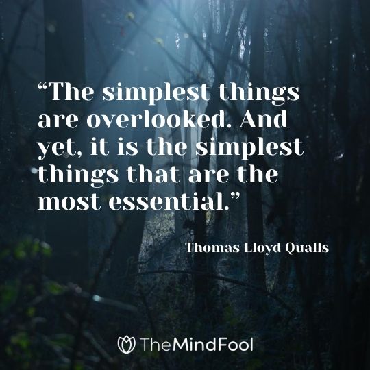 “The simplest things are overlooked. And yet, it is the simplest things that are the most essential.” ― Thomas Lloyd Qualls