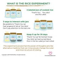 Rice Experiment - Can Positivity Change Your Life?