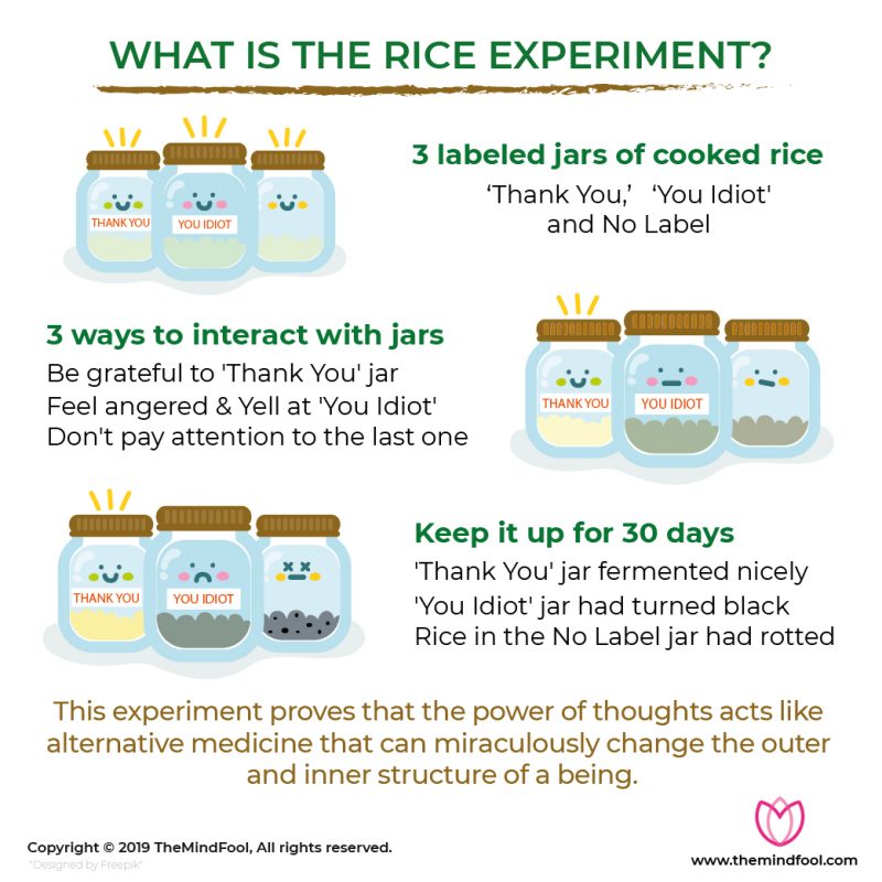 experiment with rice and words