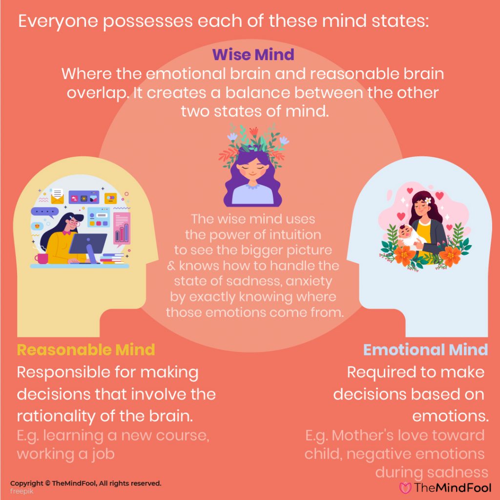 What is a Wise Mind and How to Find Yours? | TheMindFool