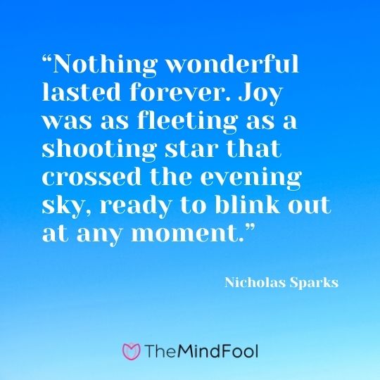 “Nothing wonderful lasted forever. Joy was as fleeting as a shooting star that crossed the evening sky, ready to blink out at any moment.” ― Nicholas Sparks