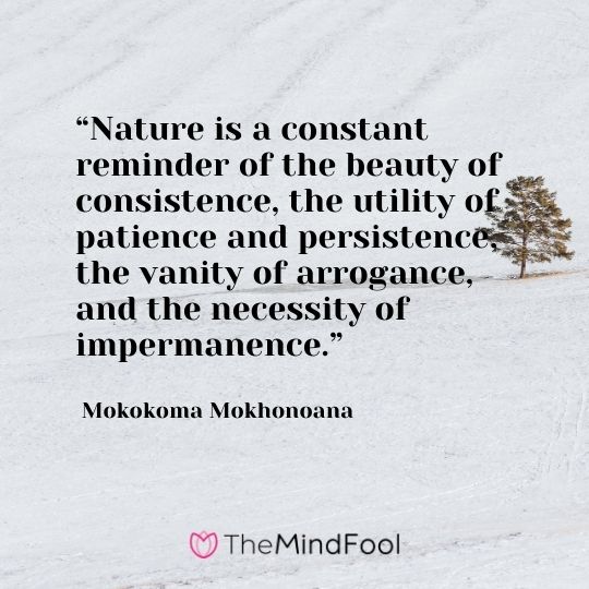 “Nature is a constant reminder of the beauty of consistence, the utility of patience and persistence, the vanity of arrogance, and the necessity of impermanence.” ― Mokokoma Mokhonoana