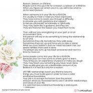 Is Your Relationship for a Reason, Season Or a Lifetime | TheMindFool