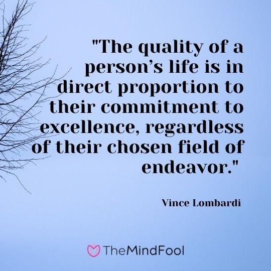 "The quality of a person’s life is in direct proportion to their commitment to excellence, regardless of their chosen field of endeavor." — Vince Lombardi