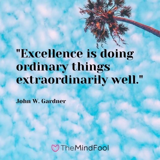 "Excellence is doing ordinary things extraordinarily well." — John W. Gardner