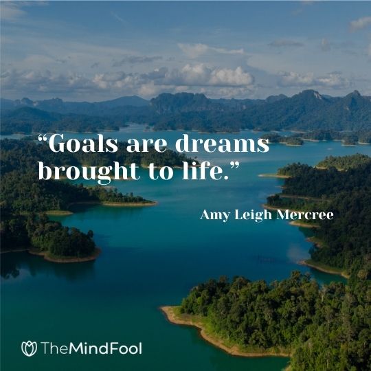 “Goals are dreams brought to life.” ― Amy Leigh Mercree