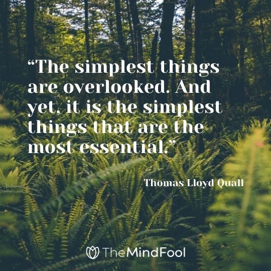 “The simplest things are overlooked. And yet, it is the simplest things that are the most essential.” ― Thomas Lloyd Quall