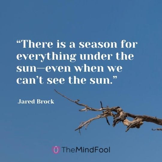 “There is a season for everything under the sun—even when we can’t see the sun.” – Jared Brock