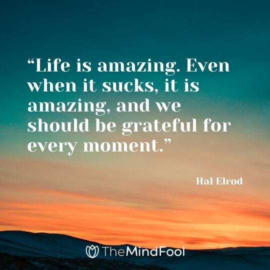 “Life is amazing. Even when it sucks, it is amazing, and we should be grateful for every moment.” – Hal Elrod