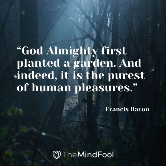 “God Almighty first planted a garden. And indeed, it is the purest of human pleasures.” – Francis Bacon