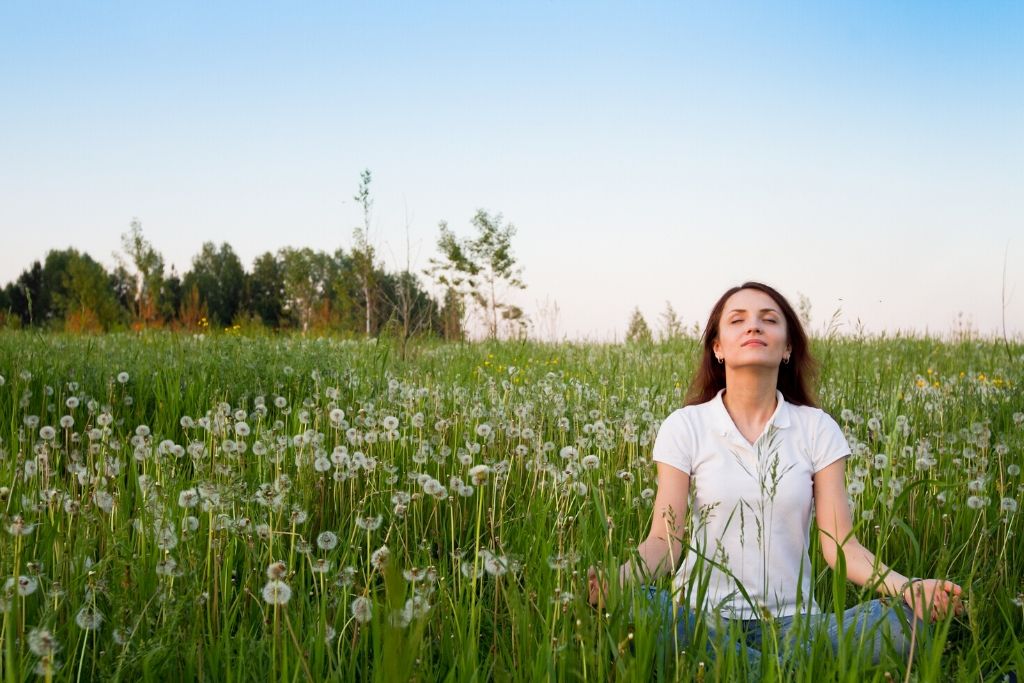 Meditate