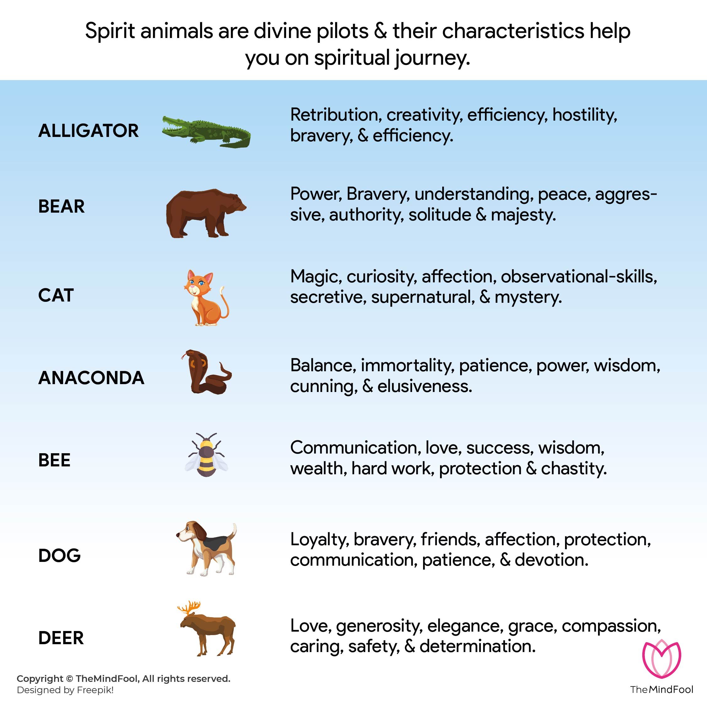 What Do Spirit Animals Represent