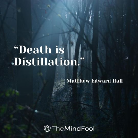 “Death is Distillation.” – Matthew Edward Hall