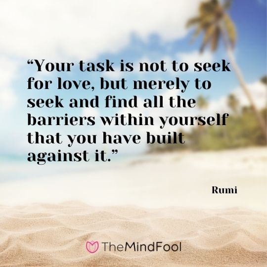 “Your task is not to seek for love, but merely to seek and find all the barriers within yourself that you have built against it.” ― Rumi