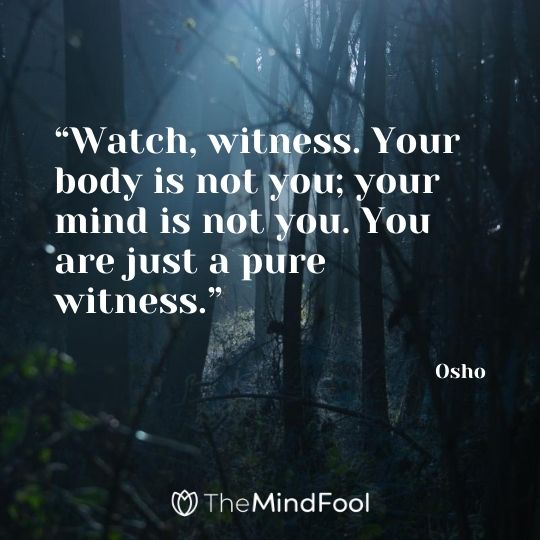 “Watch, witness. Your body is not you; your mind is not you. You are just a pure witness.” – Osho