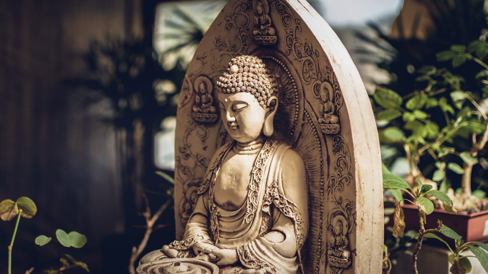 Buddhism Beliefs 101: Everything That You Need to Know