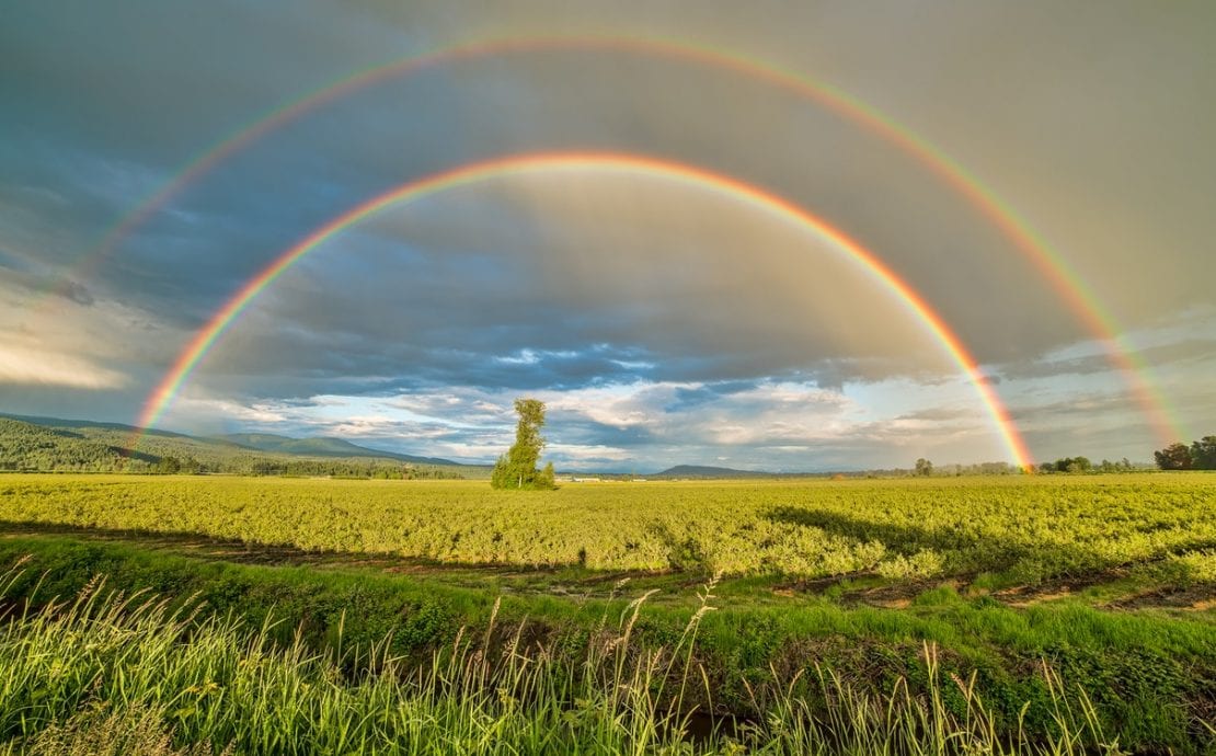 Double Rainbow