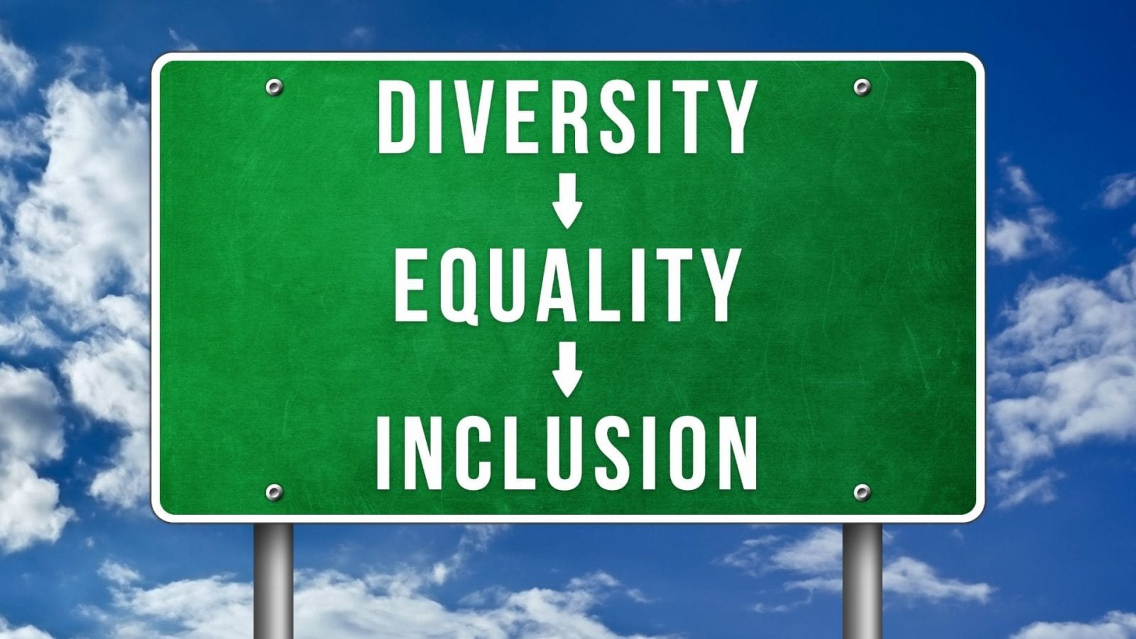 What Does Inclusion Mean