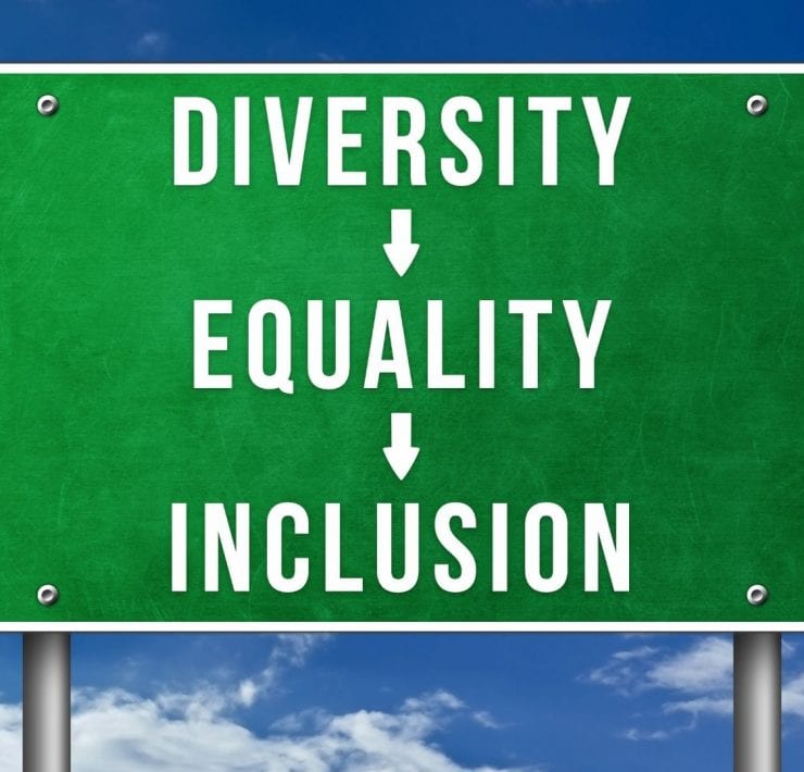 What Does Inclusion Mean