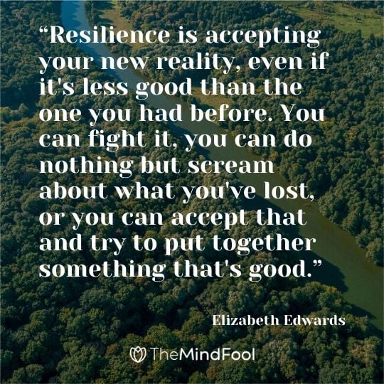 Resilience Definition, Quotes and Types | Building Resilience