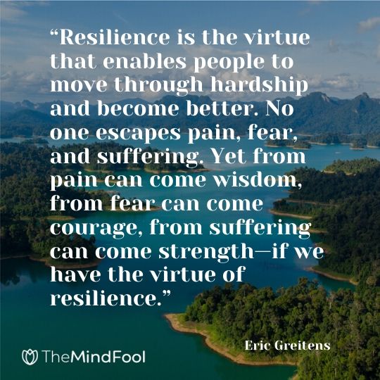 “Resilience is the virtue that enables people to move through hardship and become better. No one escapes pain, fear, and suffering. Yet from pain can come wisdom, from fear can come courage, from suffering can come strength—if we have the virtue of resilience.”
― Eric Greitens