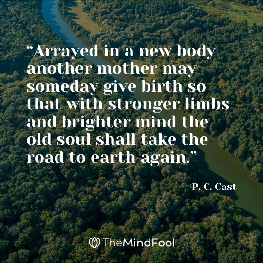 “Arrayed in a new body another mother may someday give birth so that with stronger limbs and brighter mind the old soul shall take the road to earth again.” - P. C. Cast