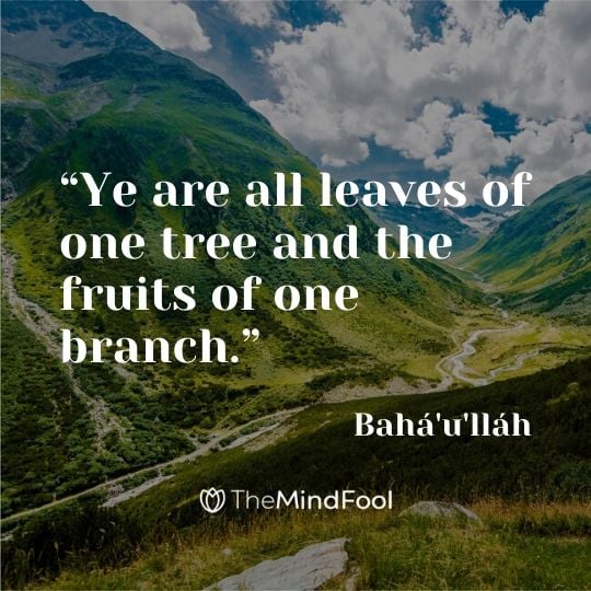 “Ye are all leaves of one tree and the fruits of one branch.” - Bahá'u'lláh