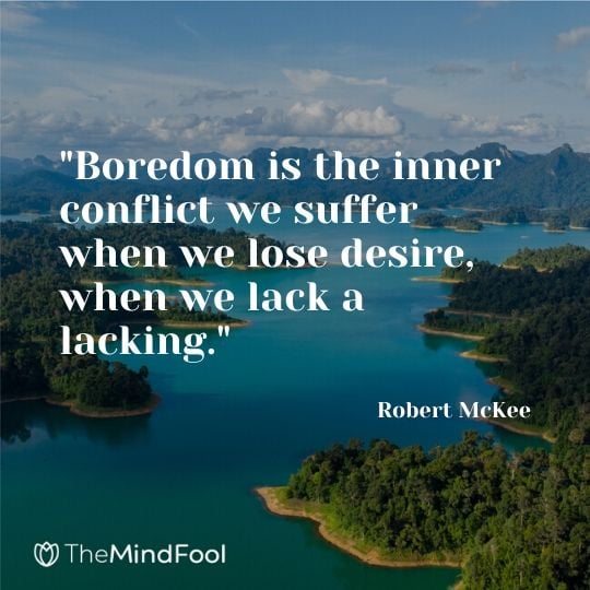 "Boredom is the inner conflict we suffer when we lose desire, when we lack a lacking." ~ Robert McKee