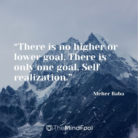 “There is no higher or lower goal. There is only one goal, Self realization.” – Meher Baba