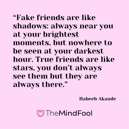 “Fake friends are like shadows: always near you at your brightest moments, but nowhere to be seen at your darkest hour. True friends are like stars, you don’t always see them but they are always there.” – Habeeb Akande