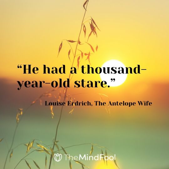 “He had a thousand-year-old stare.” ― Louise Erdrich, The Antelope Wife