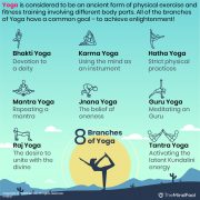 The 8 Branches of Yoga & Their Philosophies | TheMindFool