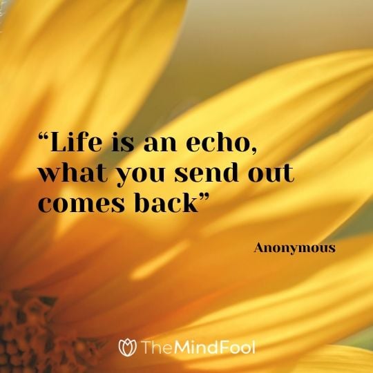 “Life is an echo, what you send out comes back” – Anonymous